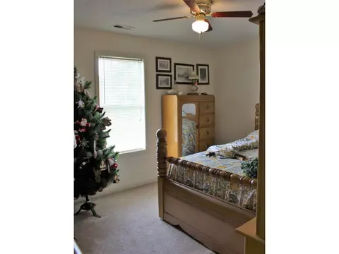 132 Greenway Road Limestone Tn 37681, Limestone, TN 37681 photo 11