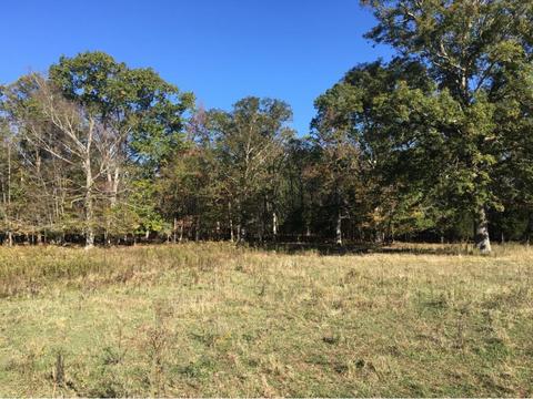 4280 Mohawk Road Mohawk Tn 37810, Mohawk, TN 37810 photo 2
