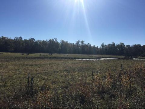 4280 Mohawk Road Mohawk Tn 37810, Mohawk, TN 37810 photo 3