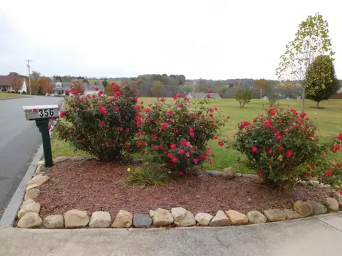 356 Anderson Street Limestone Tn 37681, Limestone, TN 37681 photo 2