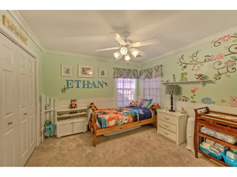 45 Grace Meadows Court Gray Tn 37615, Gray, TN 37615 photo 18