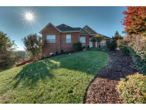 45 Grace Meadows Court Gray Tn 37615, Gray, TN 37615 photo 1