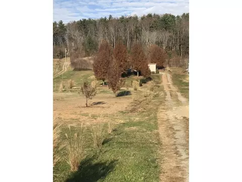 233 Maple Swamp Road Chuckey Tn 37641, Chuckey, TN 37641 photo 7