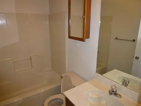 249 Springview Drive Gray Tn 37615, Gray, TN 37615 photo 10