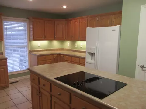 107 Briarpatch Court Fall Branch Tn 37656, Fall Branch, TN 37656 photo 6