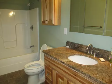 107 Briarpatch Court Fall Branch Tn 37656, Fall Branch, TN 37656 photo 10