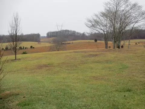 107 Briarpatch Court Fall Branch Tn 37656, Fall Branch, TN 37656 photo 21