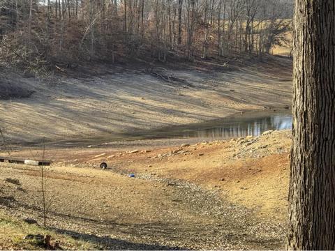 2273 Boat Dock Road Talbott Tn 37877, Talbott, TN 37877 photo 9