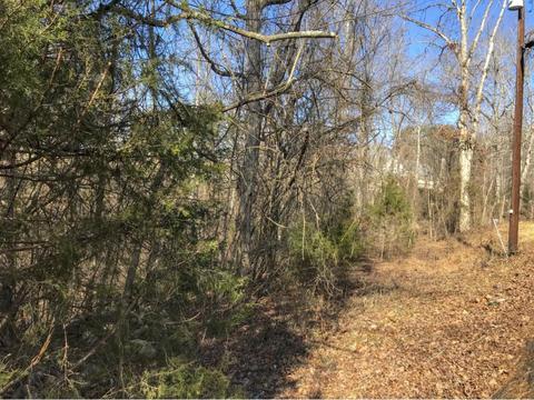 2273 Boat Dock Road Talbott Tn 37877, Talbott, TN 37877 photo 8