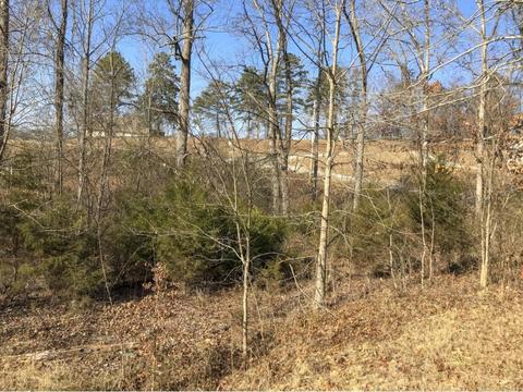 2273 Boat Dock Road Talbott Tn 37877, Talbott, TN 37877 photo 6