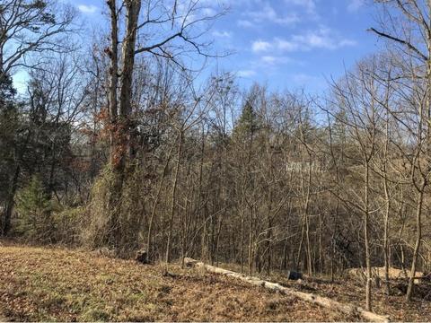 2273 Boat Dock Road Talbott Tn 37877, Talbott, TN 37877 photo 5