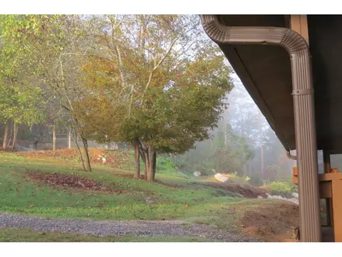 182 Dalson Road Eidson Tn 37731, Eidson, TN 37731 photo 7