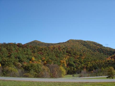 Tbd Hogback Road, Bland, VA 24315