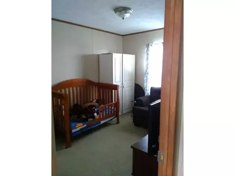 99 Dinwiddie Road Chuckey Tn 37641, Chuckey, TN 37641 photo 9