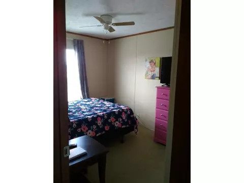 99 Dinwiddie Road Chuckey Tn 37641, Chuckey, TN 37641 photo 8