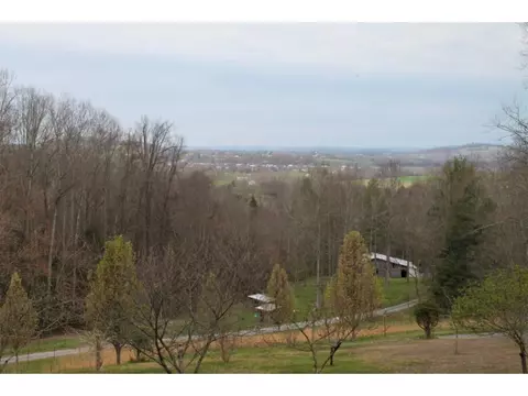 110 Blackberry Lane Chuckey Tn 37641, Chuckey, TN 37641 photo 29