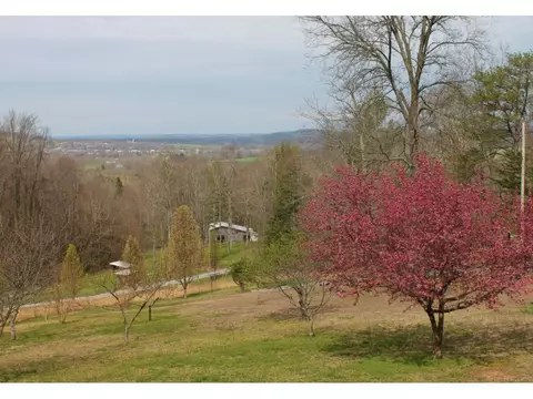 110 Blackberry Lane Chuckey Tn 37641, Chuckey, TN 37641 photo 24
