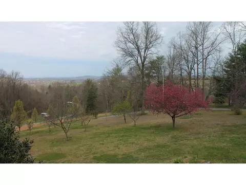 110 Blackberry Lane Chuckey Tn 37641, Chuckey, TN 37641 photo 28