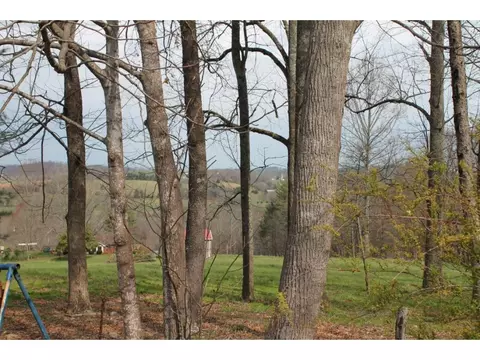110 Blackberry Lane Chuckey Tn 37641, Chuckey, TN 37641 photo 27