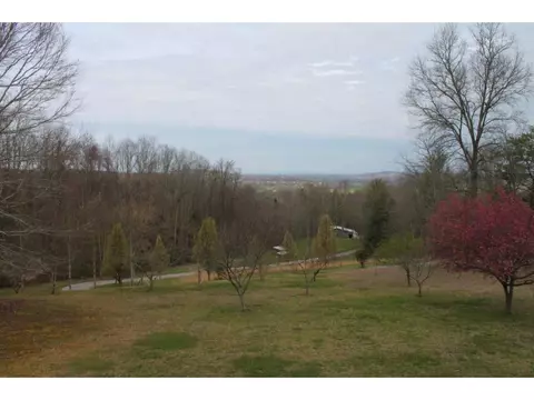 110 Blackberry Lane Chuckey Tn 37641, Chuckey, TN 37641 photo 30