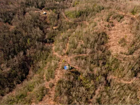 1861 Dennis Cove Road Hampton Tn 37658, Hampton, TN 37658 photo 22