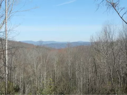 1861 Dennis Cove Road Hampton Tn 37658, Hampton, TN 37658 photo 20