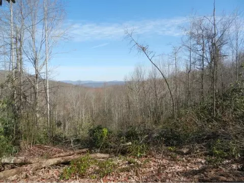 1861 Dennis Cove Road Hampton Tn 37658, Hampton, TN 37658 photo 19