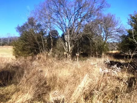 385 Oss Williams Road Limestone Tn 37681, Limestone, TN 37681 photo 3