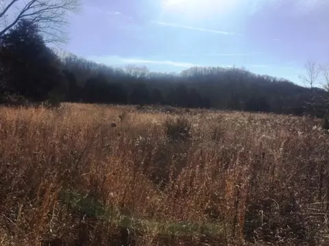 385 Oss Williams Road Limestone Tn 37681, Limestone, TN 37681 photo 1
