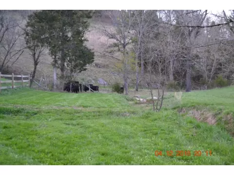 527 Gravely Valley Eidson Tn 37731, Eidson, TN 37731 photo 26