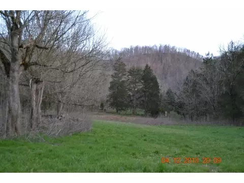 527 Gravely Valley Eidson Tn 37731, Eidson, TN 37731 photo 35