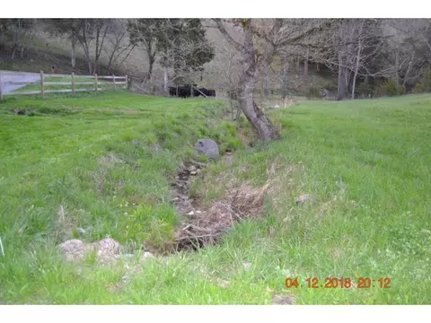 527 Gravely Valley Eidson Tn 37731, Eidson, TN 37731 photo 32