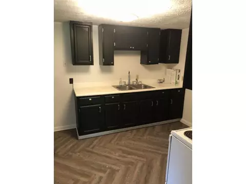 311 E Chestnut Street Johnson City Tn 37601, Johnson City, TN 37601 photo 4
