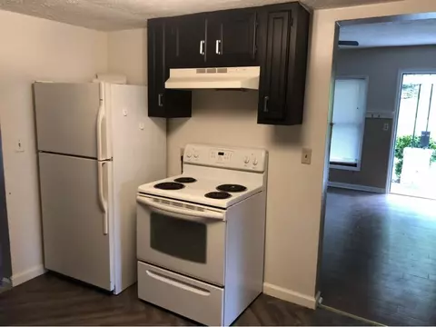 311 E Chestnut Street Johnson City Tn 37601, Johnson City, TN 37601 photo 3
