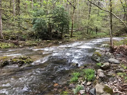 115 Creekside Lane Erwin Tn 37650, Erwin, TN 37650 photo 27