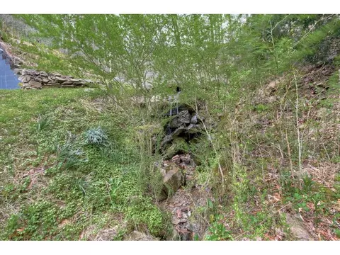 115 Creekside Lane Erwin Tn 37650, Erwin, TN 37650 photo 25
