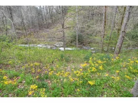 115 Creekside Lane Erwin Tn 37650, Erwin, TN 37650 photo 22
