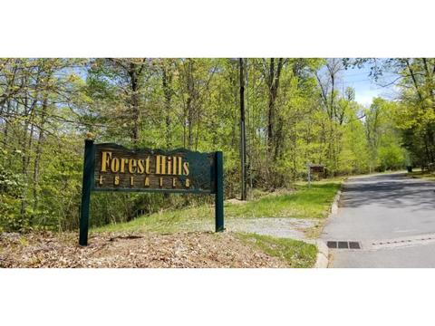 19 Mountain Laurel Court, Unicoi, TN 37692