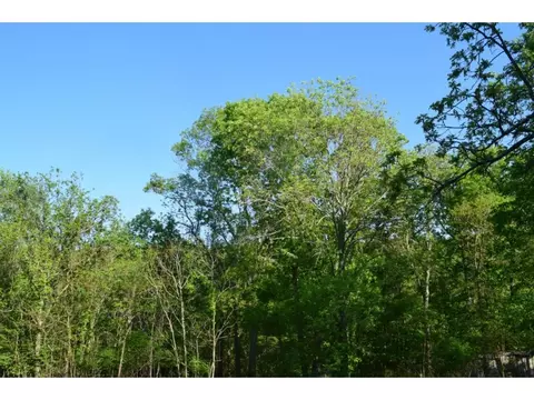 452 Rockingham Road Gray Tn 37615, Gray, TN 37615 photo 9