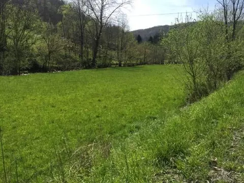 1374 Beeline Road Duffield Va 24244, Duffield, VA 24244 photo 7