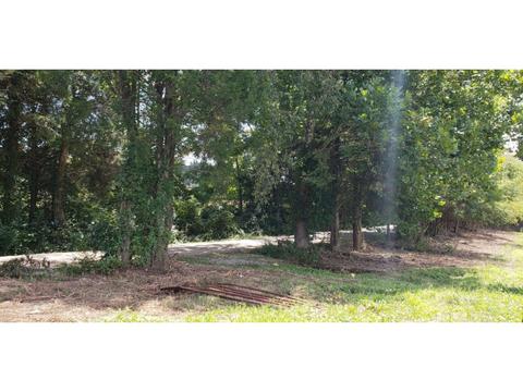 1925 Happy Valley Road Limestone Tn 37681, Limestone, TN 37681 photo 3