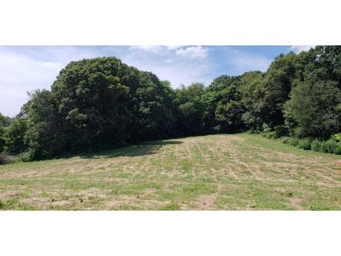 1925 Happy Valley Road Limestone Tn 37681, Limestone, TN 37681 photo 4