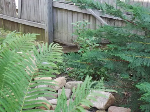 401 Jackson Avenue Erwin Tn 37650, Erwin, TN 37650 photo 33