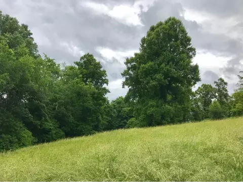 518 Beech Forest Road Bristol Tn 37620, Bristol, TN 37620 photo 11