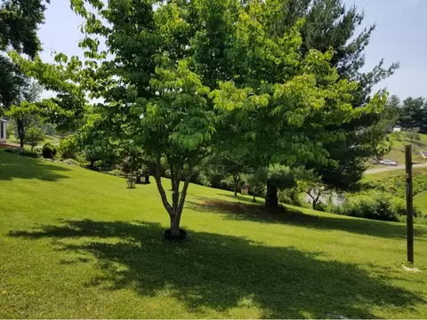 107 Fall Street Gray Tn 37615, Gray, TN 37615 photo 32