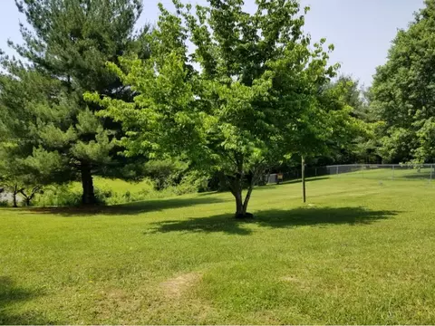 107 Fall Street Gray Tn 37615, Gray, TN 37615 photo 34