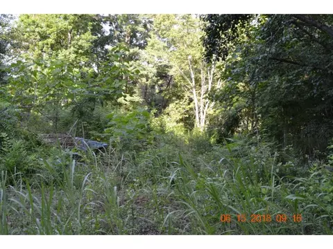 400 Patchwork Pointe Rutledge Tn 37861, Rutledge, TN 37861 photo 6