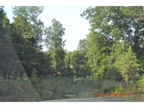400 Patchwork Pointe Rutledge Tn 37861, Rutledge, TN 37861 photo 9