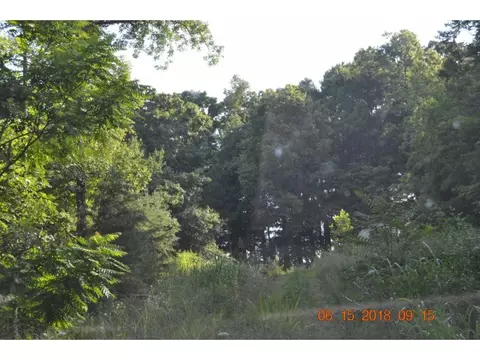400 Patchwork Pointe Rutledge Tn 37861, Rutledge, TN 37861 photo 2