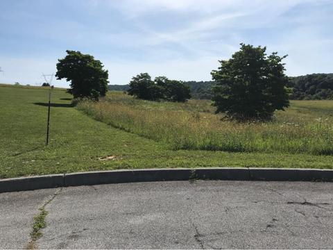 108 Briarpatch Court Fall Branch Tn 37656, Fall Branch, TN 37656 photo 2